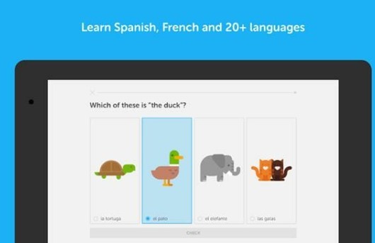 Aplikasi Belajar Bahasa Arab Duolingo