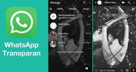 WhatsApp Transparan